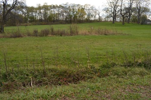 Grass - 1,540 sq. ft. Ranch Style Country Home on Nearly 3 Acres
